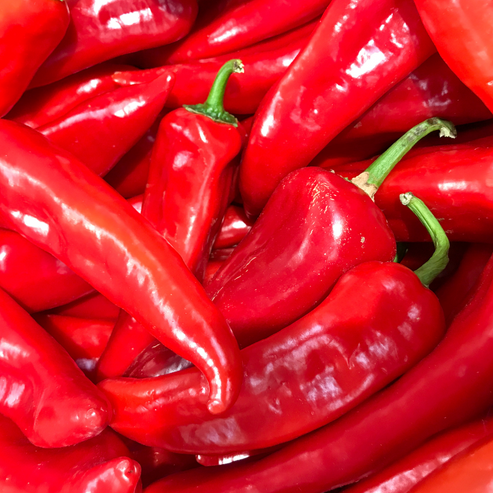 Sweet Delilah Pepper Seed | Huge Marconi Peppers | Lazy Dog Farm