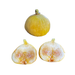 Tashkent Fig Tree from Lazy Dog Farm