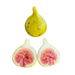 Thermalito Fig Tree from Lazy Dog Farm
