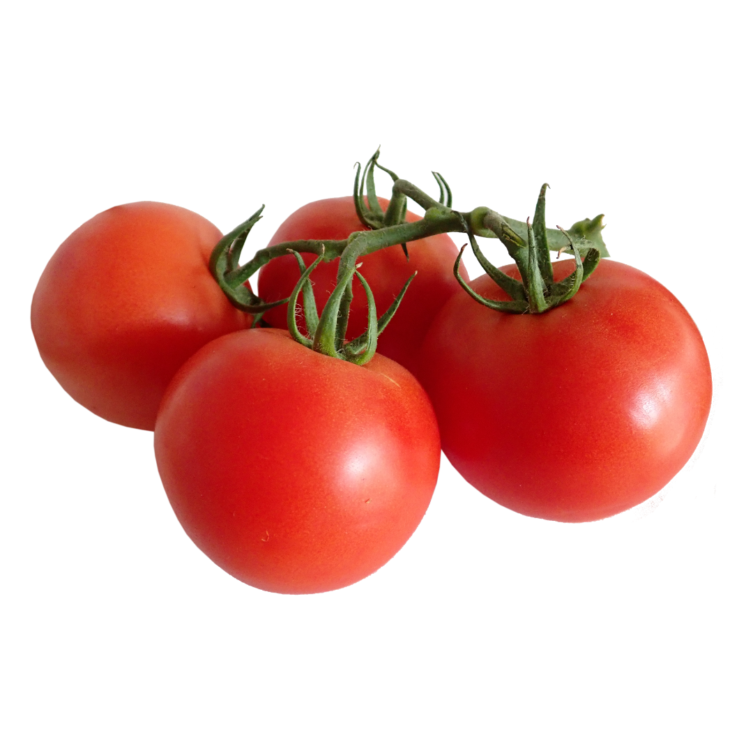 Tomato Seeds from Lazy Dog Farm