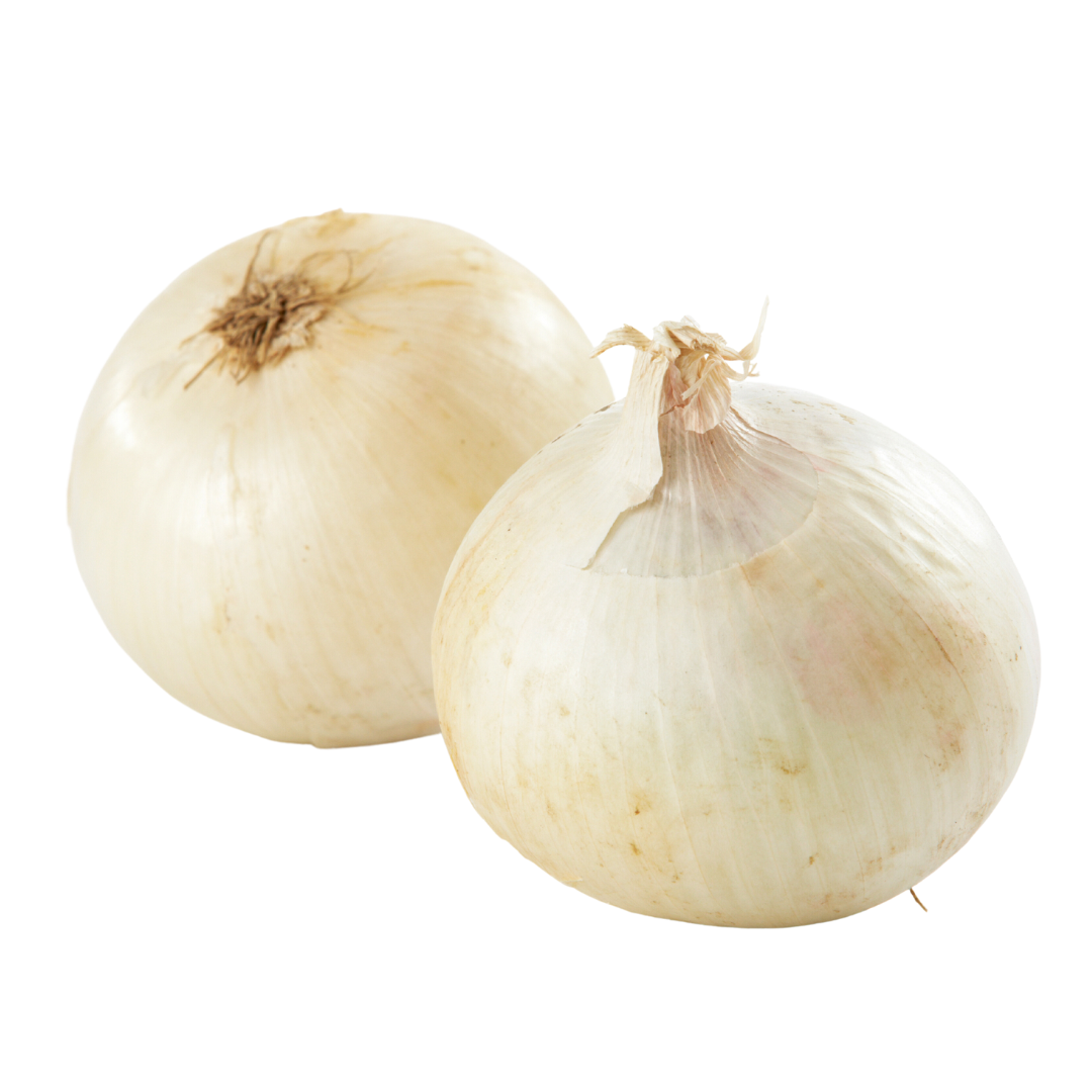 デュポン Onion White Phantom Onion Seed | White Short-Day Onions | Lazy Dog Farm