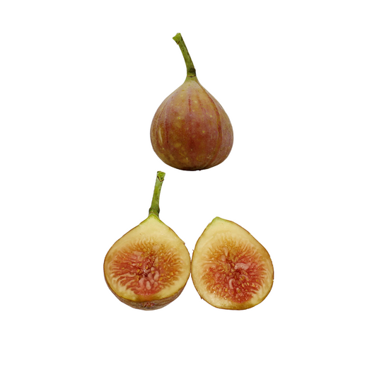 Brown Turkey Fig Trees from Lazy Dog Farm